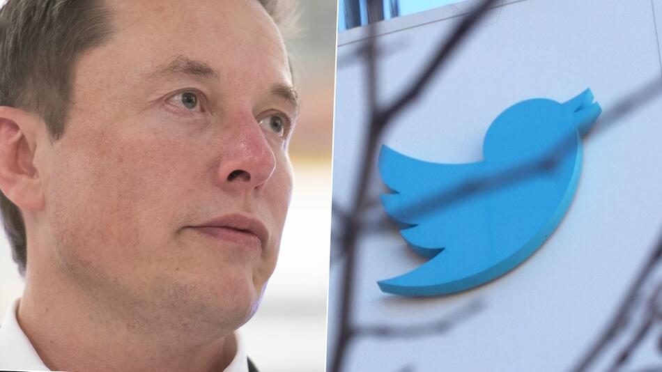 „Official-Label: Elon Musk löscht neues Twitter-Feature nach wenigen Stunden