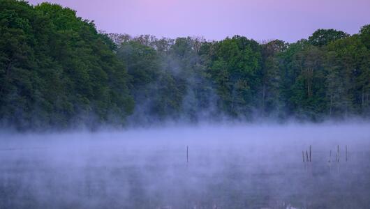 Morgenstimmung in Brandenburg