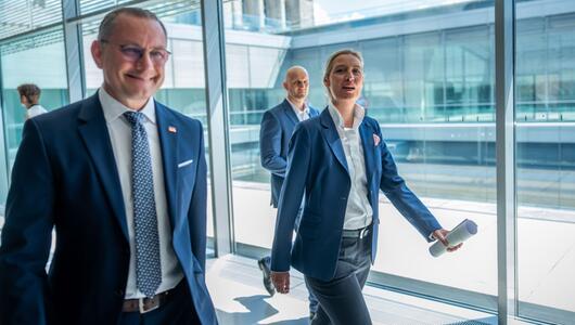 AfD-Chefs Tino Chrupalla (l.) und Alice Weidel (Archivbild)