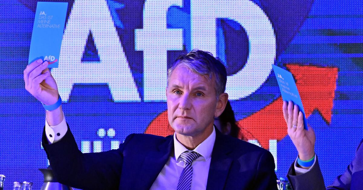 Söder Zweifelt An Erfolg Von Online-Petition Gegen AfD-Politiker Höcke ...