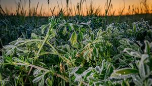 Morgenstimmung in Brandenburg