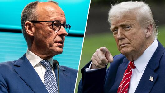 Friedrich Merz Donald Trump Weißes Haus Antrittsbesuch