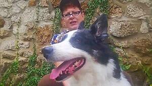 Wunder nach zwei Wochen: Vermisster Hund taucht 1.770 Kilometer entfernt wieder auf