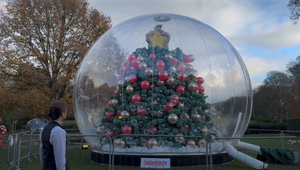 Ein gewaltiger Weihnachtsbaum aus Luftballons