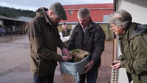 Prinz William sah sich auf einer Farm eine Kiste mit Würmern genauer an.