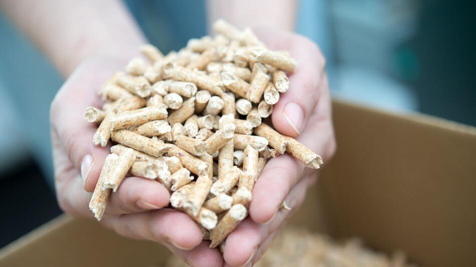 Eine Frau hält Holzpellets in den Händen