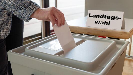 Landtagswahl, Rheinland-Pfalz, Wahlen, Wahlberechtigte, Politik