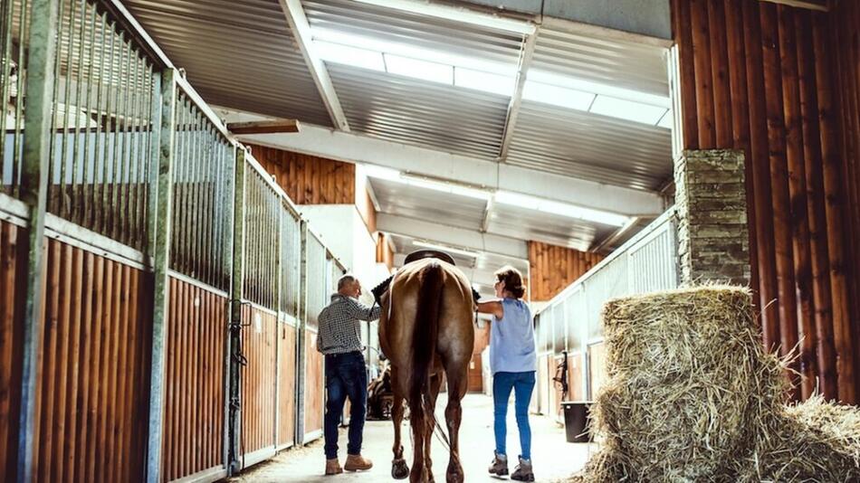 Der Tierarzt zahlt 21.000 Euro Schadensersatz.