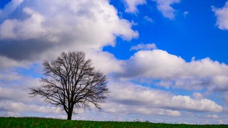 Sonne am Tag, Frost in der Nacht in Berlin und Brandenburg