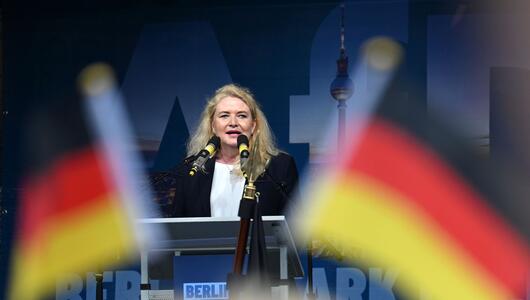 Kundgebung der AfD vor dem Roten Rathaus