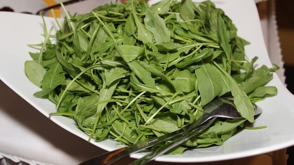 rucola gesund