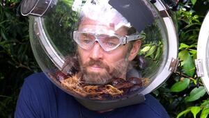 Ich bin ein Star - Holt mich hier raus! -Tag 17