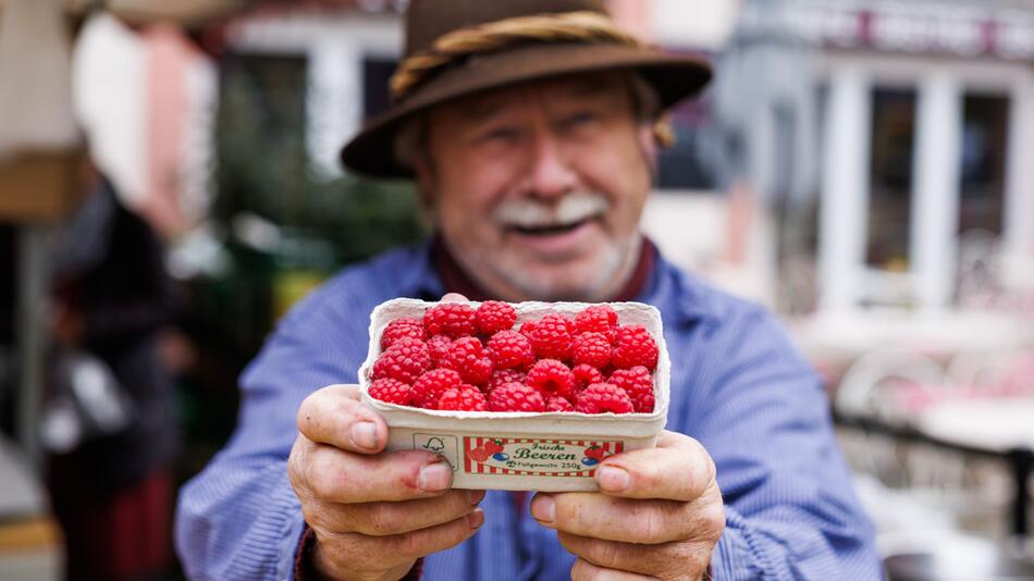 Ernte von Himbeeren Mitte November