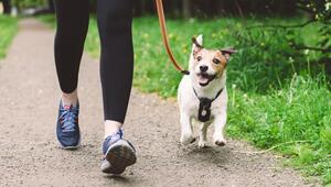 Frau und Hund
