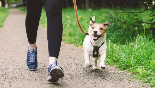 Frau und Hund