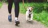 Frau und Hund