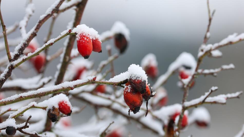 Wetter in Baden-Württemberg