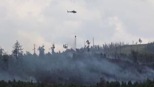 Großer Waldbrand bei Goslar: Einsatzkräfte kämpfen weiter