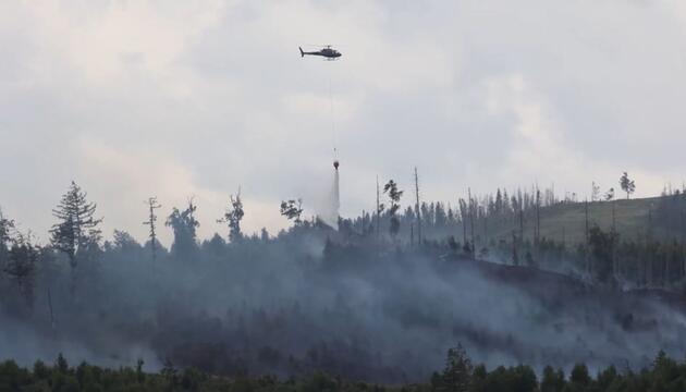 Großer Waldbrand bei Goslar: Einsatzkräfte kämpfen weiter