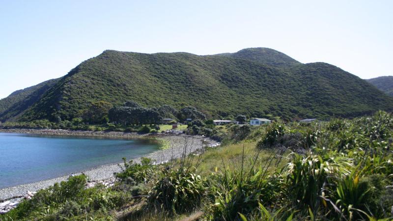 Kapiti-Insel vor Neuseeland