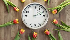 Sommerzeit, Zeitumstellung