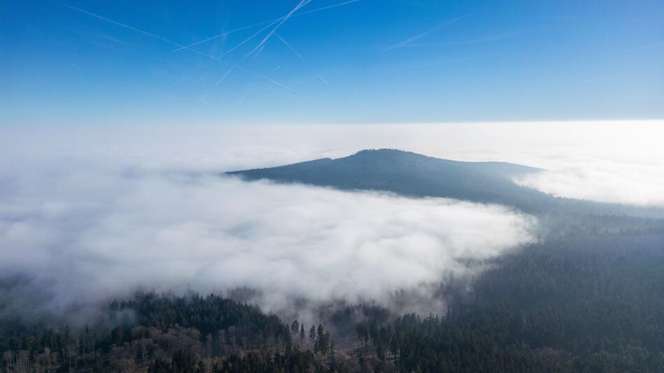 Wetter in Hessen - Nebel im Taunus