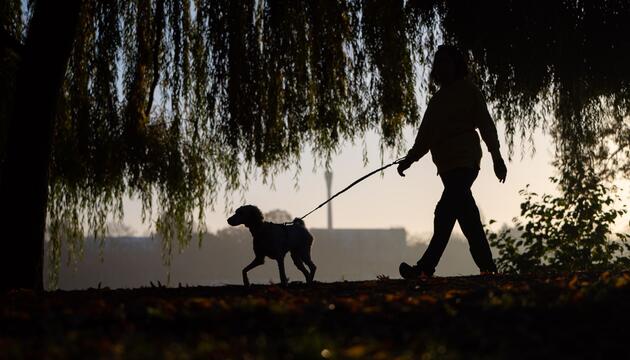 Frau geht mit Hund spazieren