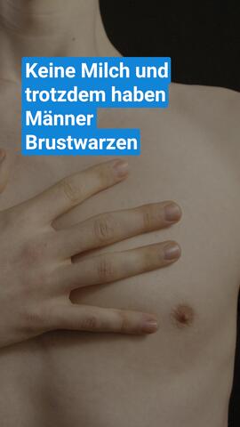 Warum haben Männer Brustwarzen?