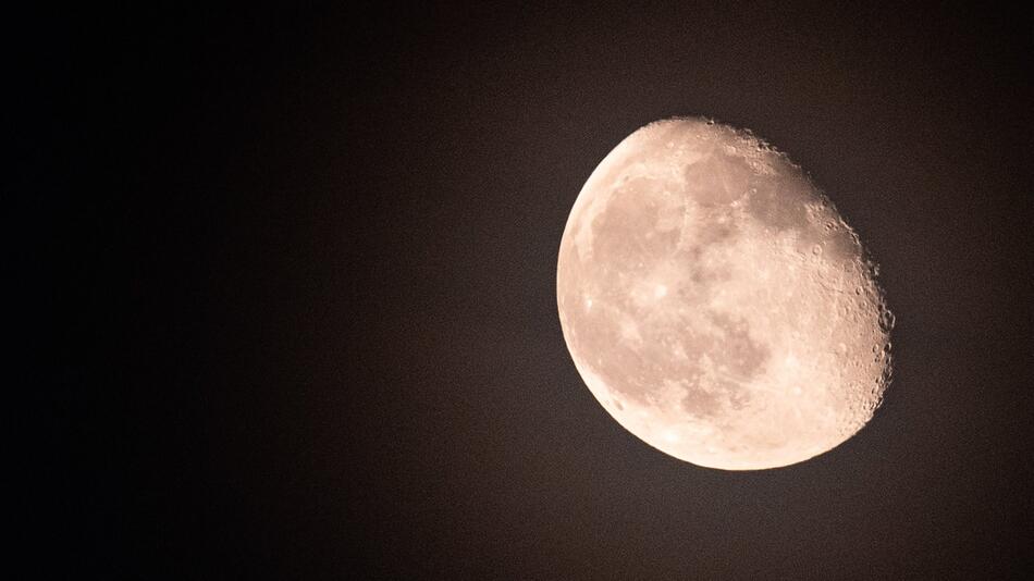 Der Mond bestimmt den Lebensrhythmus auf der Erde