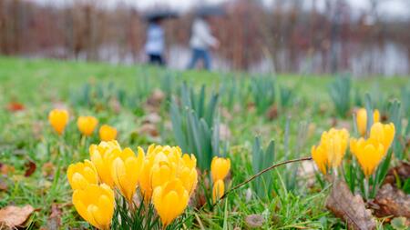 Erste Frühlingsgefühle bei 19 Grad Celsius - aber nicht überall in Deutschland