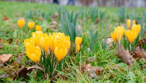 Wetter in Baden-Württemberg