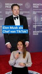 TikTok Elon Musk