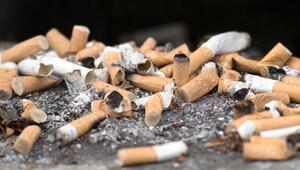 Zigarettenkippen