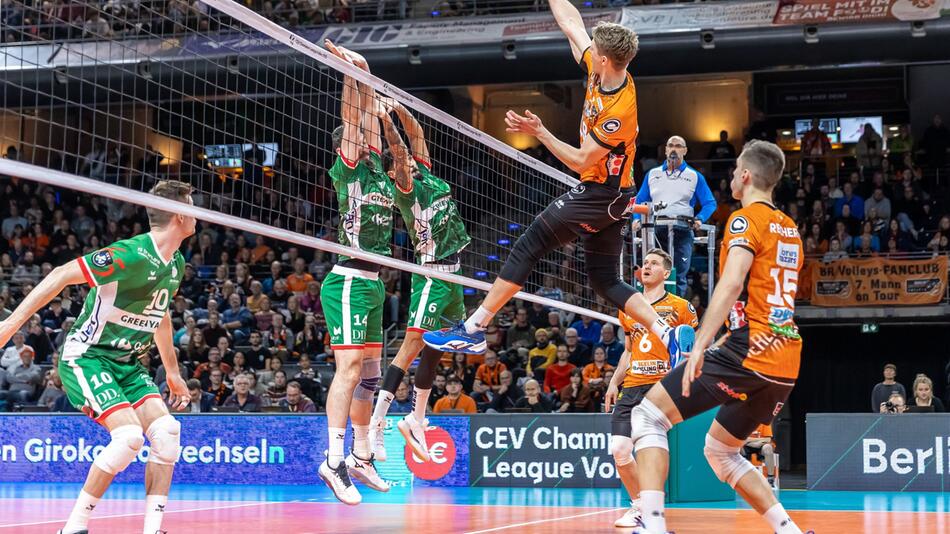 Berlin Volleys - Greenyard Maaseik