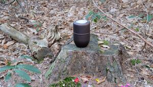 Symbolfoto Urne im Wald
