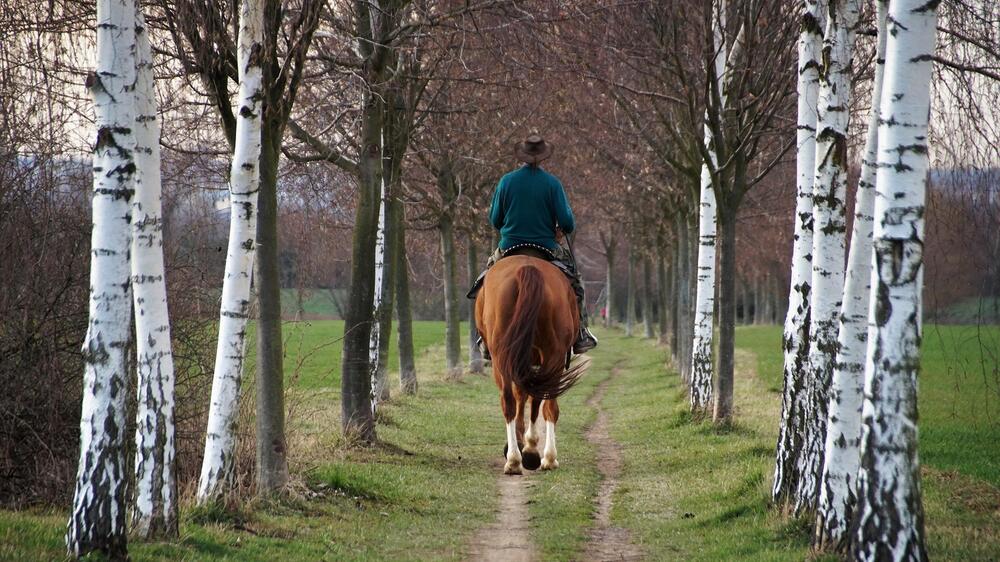 Zu viel Gewicht beim Reiten ist tierschutzwidrig.