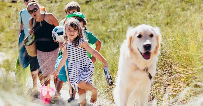 Diese Haustiere sind für Kinder geeignet | WEB.DE