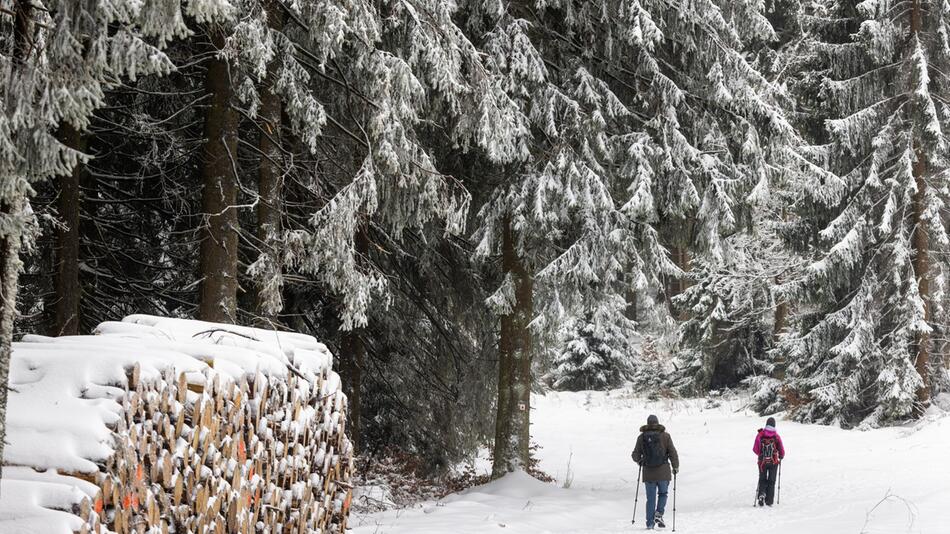 Winterwetter im Thüringer Wald