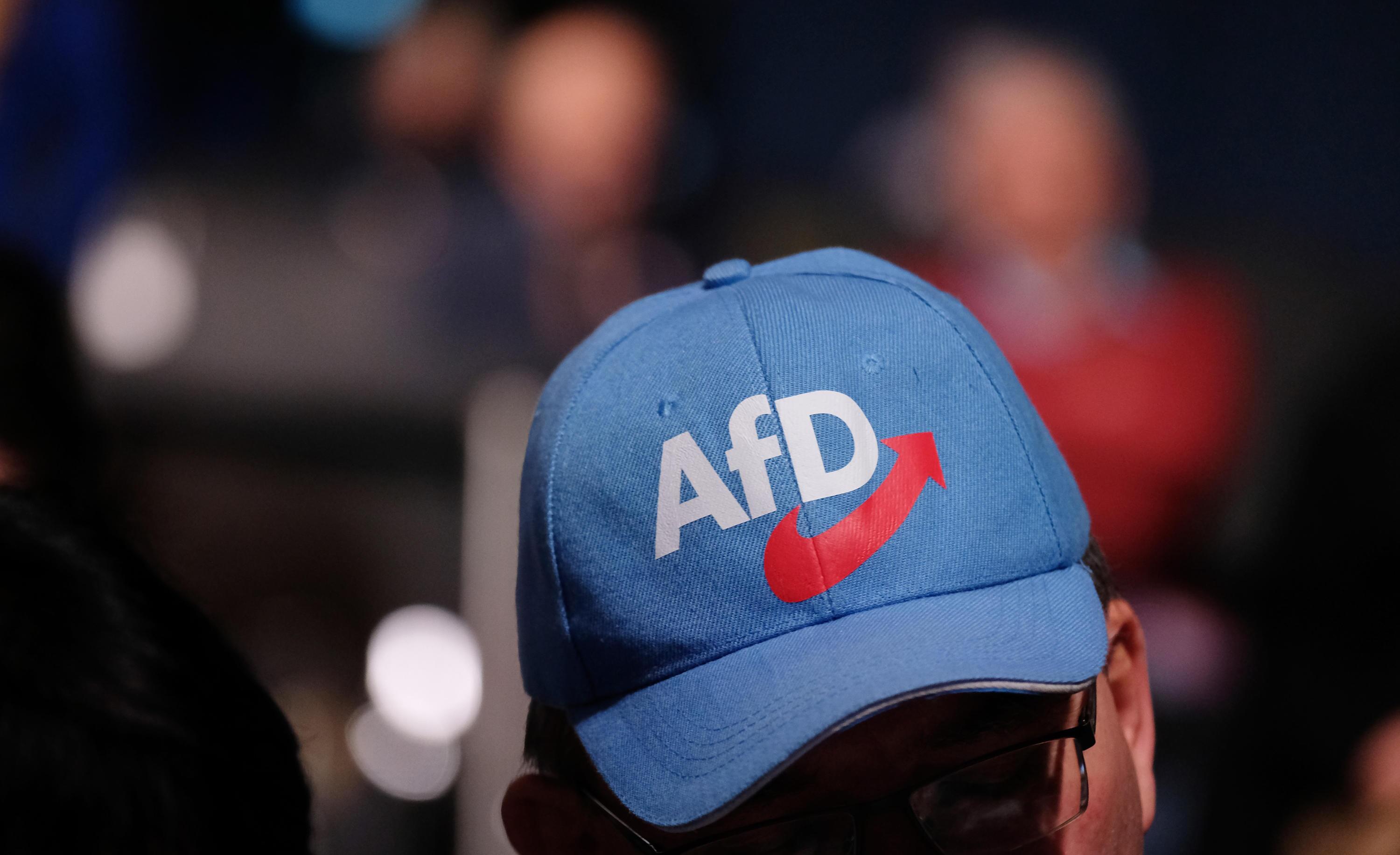 afd-verklagt-verfassungsschutz-web-de