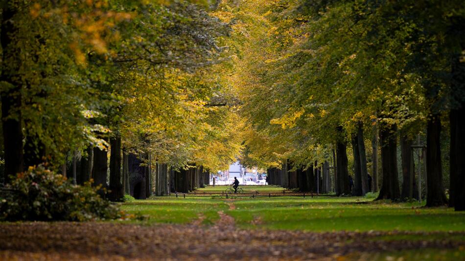 Herbst in Berlin