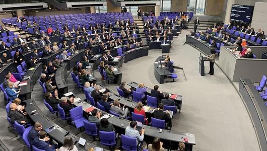 Bundestag 