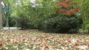 Kürzere Tage, kältere Luft: Wie der Herbst im Körper wirkt