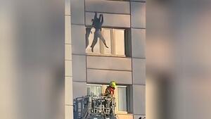 Frau springt in Berlin aus 11. Stock in Feuerwehrkorb