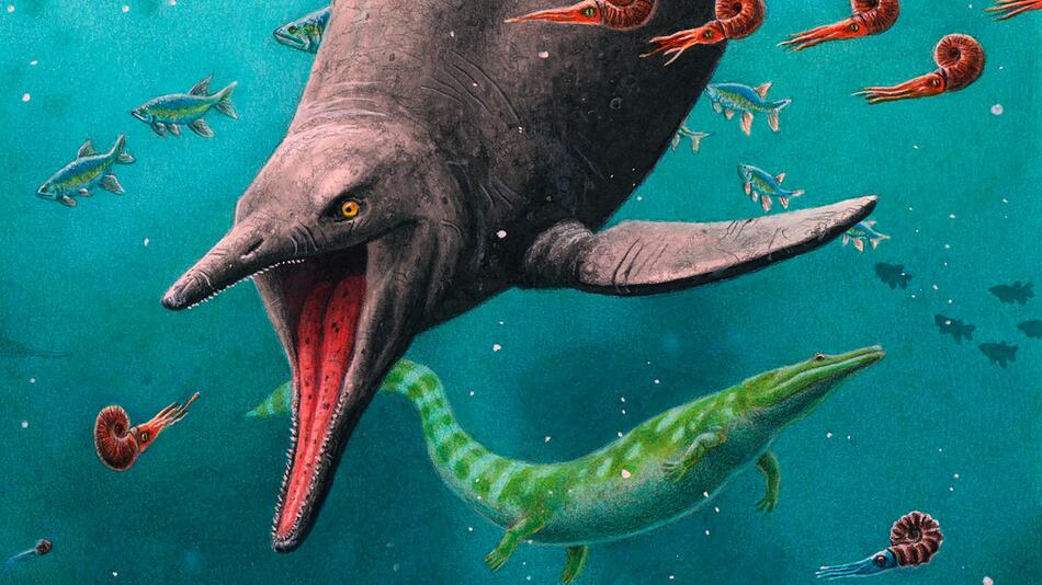 Illustration eines Ichthyosaurier
