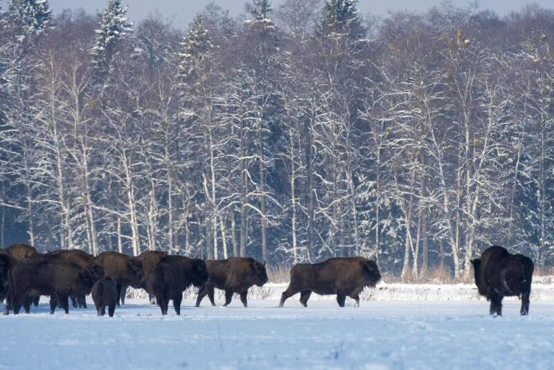 Bild zu Visumfreie Einreise