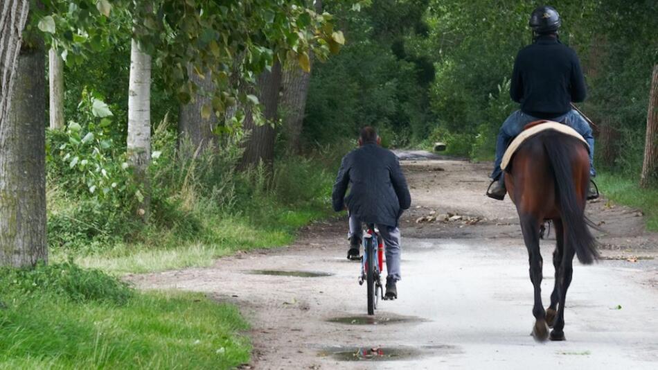 Im Spätherbst wird es früh dunkel.