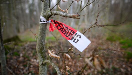 Baum umgestürzt - Drei Tote bei Flensburg