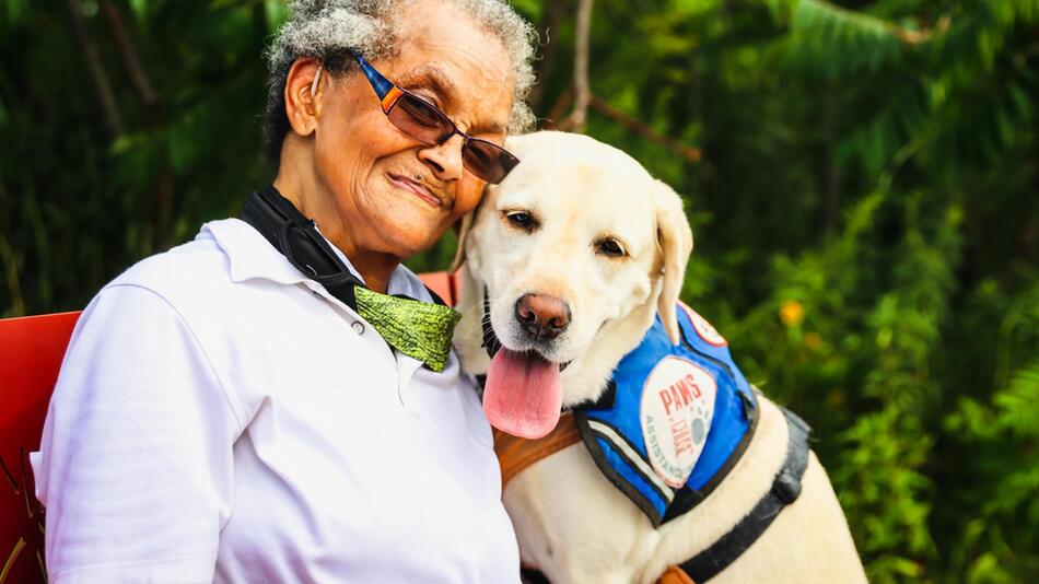 Bei den „Hero Dog Awards“ werden Hunde gekührt.