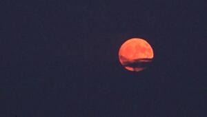 Erdbeermond am Nachthimmel - Augenweide für Sternengucker