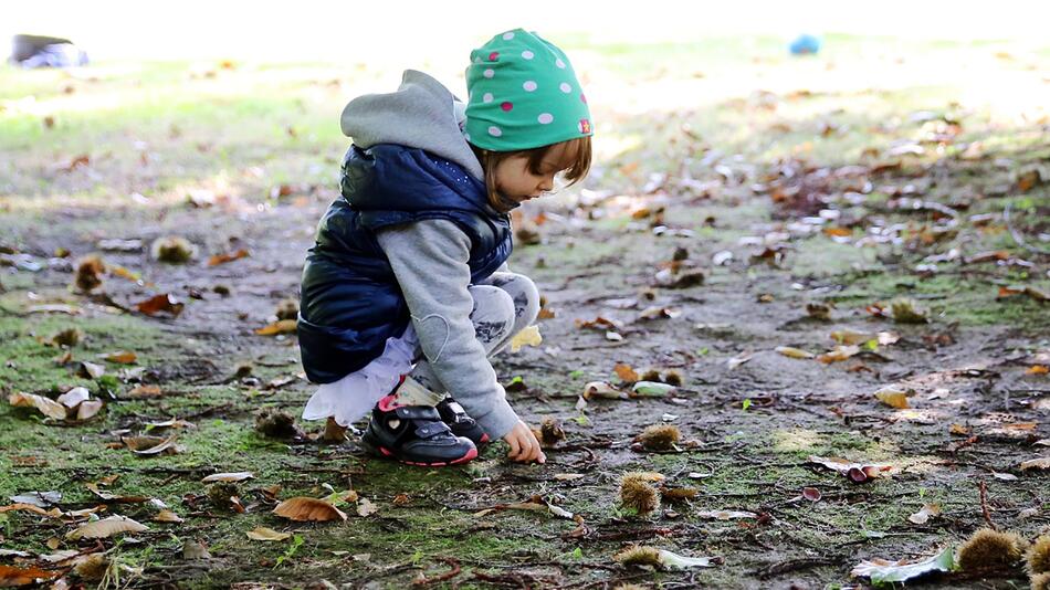 Sammelleidenschaft von Kindern